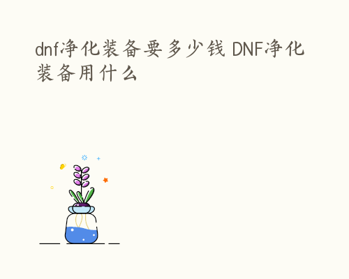 dnf净化装备要多少钱 DNF净化装备用什么