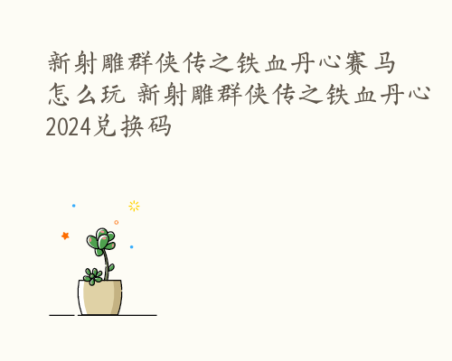 新射雕群侠传之铁血丹心赛马怎么玩 新射雕群侠传之铁血丹心2024兑换码