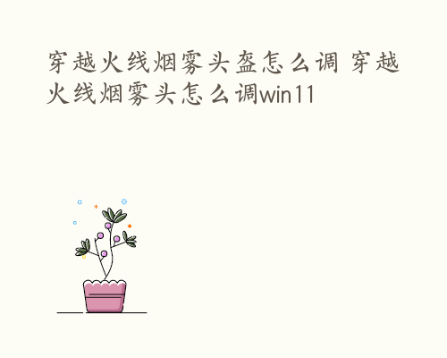 穿越火线烟雾头盔怎么调 穿越火线烟雾头怎么调win11