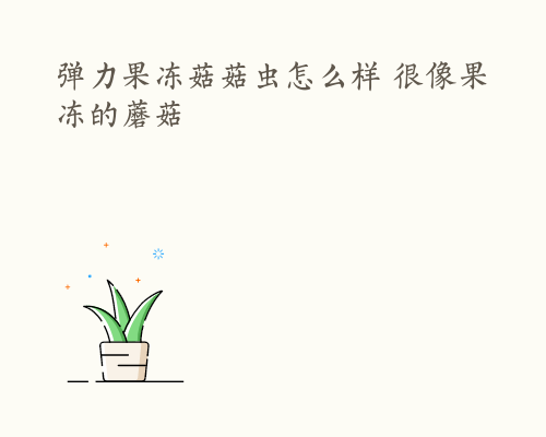 弹力果冻菇菇虫怎么样 很像果冻的蘑菇