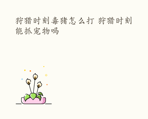 介绍剑灵气功师第三系技能加点