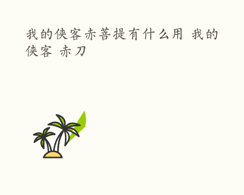 我的侠客赤菩提有什么用 我的侠客 赤刀