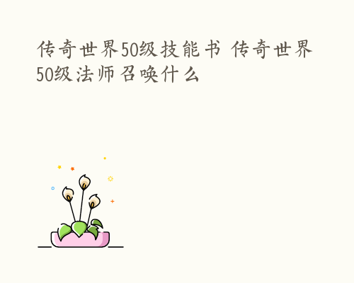 传奇世界50级技能书 传奇世界50级法师召唤什么