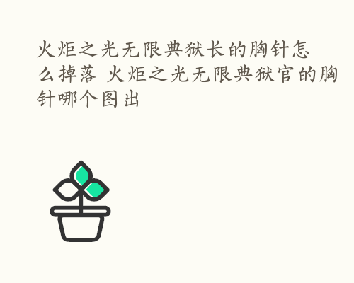 火炬之光无限典狱长的胸针怎么掉落 火炬之光无限典狱官的胸针哪个图出