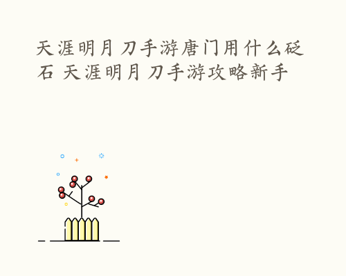 天涯明月刀手游唐门用什么砭石 天涯明月刀手游攻略新手