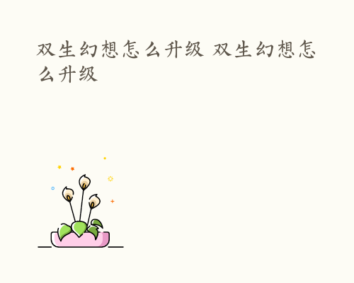 双生幻想怎么升级 双生幻想怎么升级