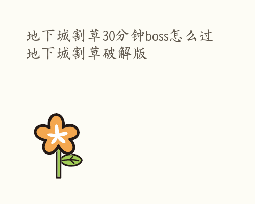 地下城割草30分钟boss怎么过 地下城割草破解版