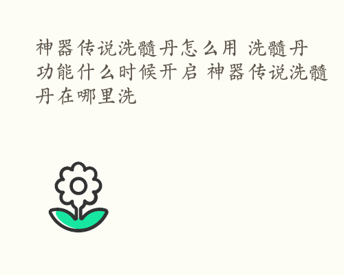 神器传说洗髓丹怎么用 洗髓丹功能什么时候开启 神器传说洗髓丹在哪里洗