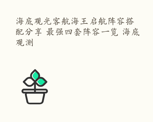 海底观光客航海王启航阵容搭配分享 最强四套阵容一览 海底观测