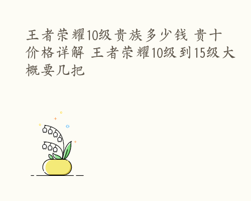 王者荣耀10级贵族多少钱 贵十价格详解 王者荣耀10级到15级大概要几把