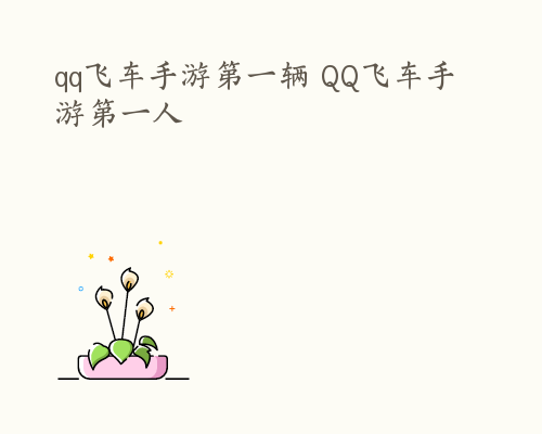 qq飞车手游第一辆 QQ飞车手游第一人