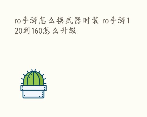 ro手游怎么换武器时装 ro手游120到160怎么升级