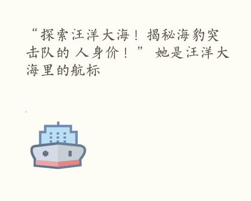 “探索汪洋大海！揭秘海豹突击队的驚人身价！” 她是汪洋大海里的航标