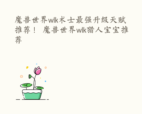 魔兽世界wlk术士最强升级天赋推荐！ 魔兽世界wlk猎人宝宝推荐