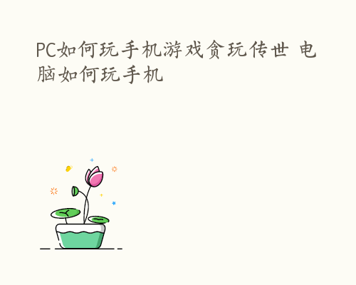 PC如何玩手机游戏贪玩传世 电脑如何玩手机