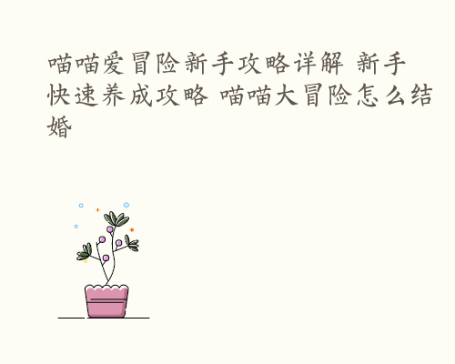 喵喵爱冒险新手攻略详解 新手快速养成攻略 喵喵大冒险怎么结婚