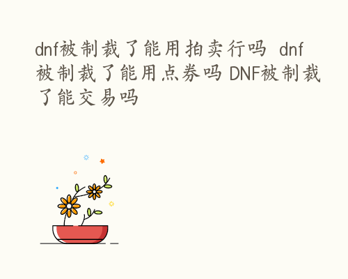 dnf被制裁了能用拍卖行吗  dnf被制裁了能用点券吗 DNF被制裁了能交易吗