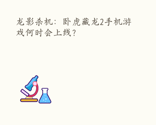 龙影杀机：卧虎藏龙2手机游戏何时会上线？