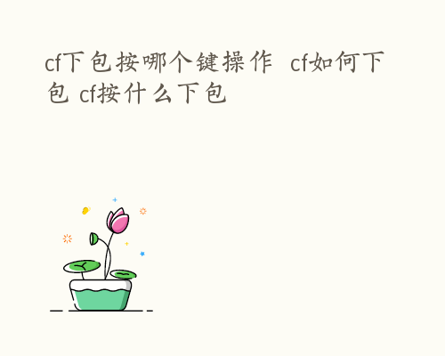 cf下包按哪个键操作  cf如何下包 cf按什么下包