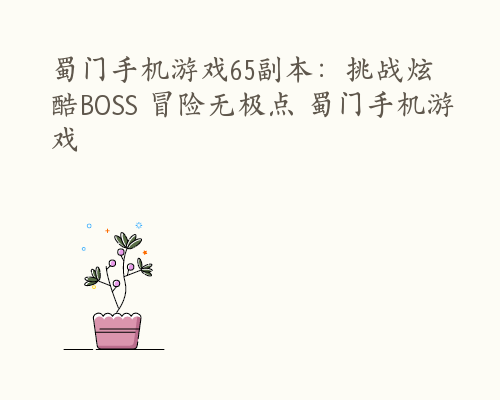 蜀门手机游戏65副本：挑战炫酷BOSS 冒险无极点 蜀门手机游戏