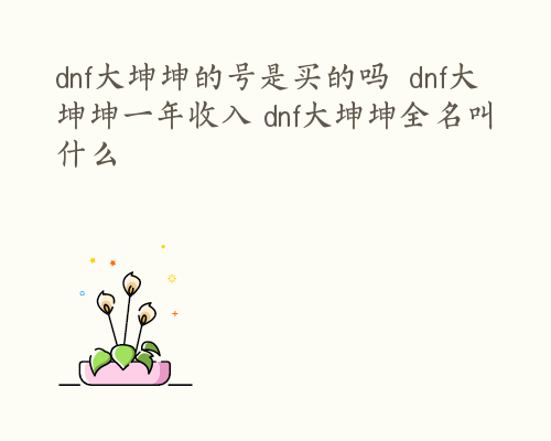 dnf大坤坤的号是买的吗  dnf大坤坤一年收入 dnf大坤坤全名叫什么