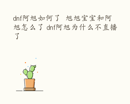 dnf阿旭如何了  旭旭宝宝和阿旭怎么了 dnf阿旭为什么不直播了