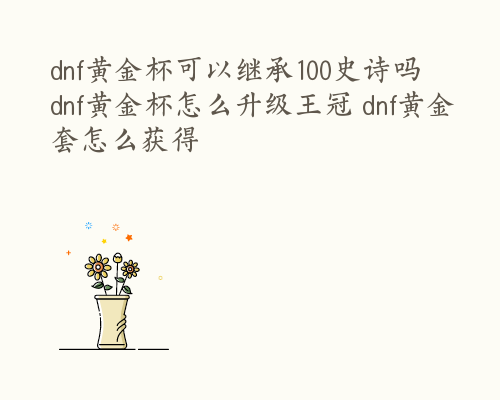 dnf黄金杯可以继承100史诗吗  dnf黄金杯怎么升级王冠 dnf黄金套怎么获得