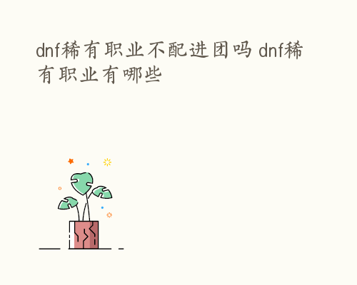 dnf稀有职业不配进团吗 dnf稀有职业有哪些