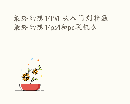 最终幻想14PVP从入门到精通 最终幻想14ps4和pc联机么