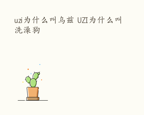 uzi为什么叫乌兹 UZI为什么叫洗澡狗