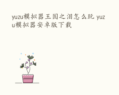 yuzu模拟器王国之泪怎么玩 yuzu模拟器安卓版下载