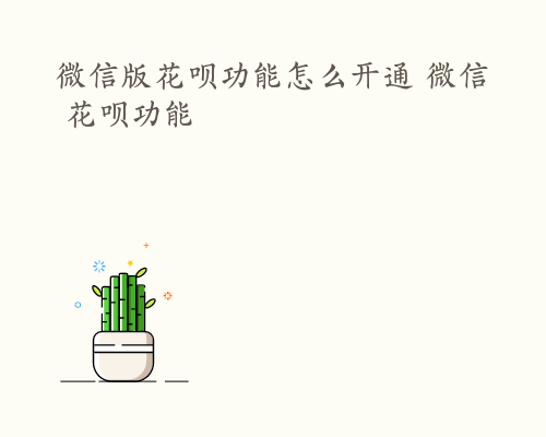 微信版花呗功能怎么开通 微信 花呗功能