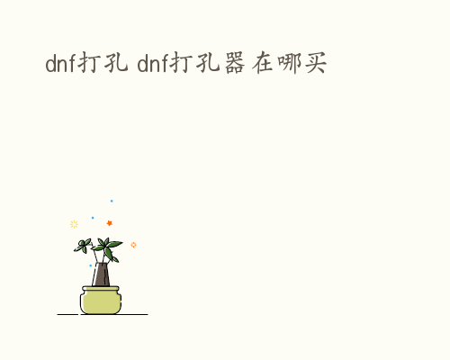 dnf打孔 dnf打孔器在哪买