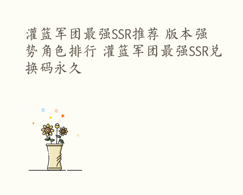 灌篮军团最强SSR推荐 版本强势角色排行 灌篮军团最强SSR兑换码永久